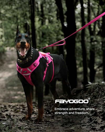Dog Leash 6FT - Heavy Duty Dog Leash with Traffic Padded Double Handles - Safety Control Traning Leash for Large Medium Dogs - color: Pink