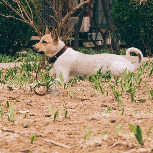 Heavy Duty 304 Stainless Steel Dog Stake-15 Inch, 12mm Diameter, Holds Pets Up to 160 lbs,Perfect for Yard, Outdoor, Camping & Tent Use - Corrosion-Resistant Ground Anchor for Dogs
