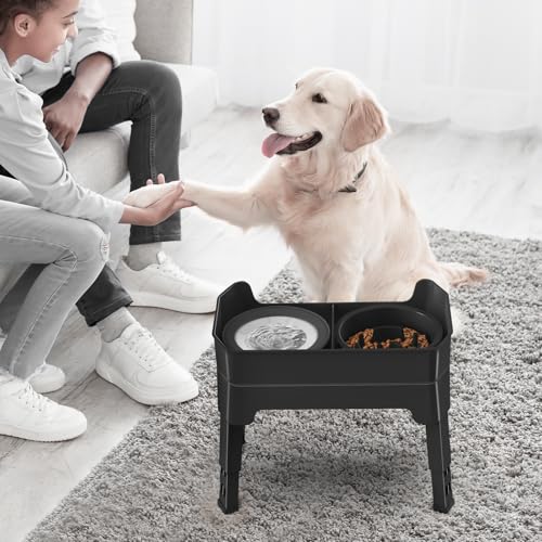 4-in-1 Elevated Slow Feeder Dog Bowls, 4 Height Adjustable Mess Proof Raised Dog Bowl Stand with No Spill Water Bowl, Stainless Steel Doggy Food Dish & Slow Feeder for Large Medium Small Pets - color: Black, size: Water Bowl + Stainless Steel Bowl + Slow