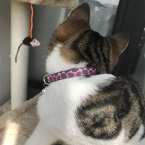 4 Pack Halloween Kitten Collar Breakaway,Quick Release Safe Buckle Adjustable Kitten Collars, Skull Crossbones, Crossbones, Pink Leopard and Blue Leopard - color: 4#Leopard grain, size: Kitten(Neck:6"-8")