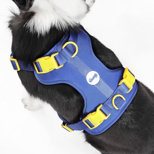 HNS1003C Arlo Large Adjustable Soft Padded No Pull Pet Harness with 3 Buckles and 3 Leash Clips, Curaçao - color: Dark Blue, size: Large (Chest: 24 - 37")