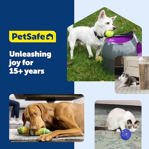 PetSafe Zoom Rotating Laser Cat Toy Includes 2 Interactive Laser Lights - style: Zoom