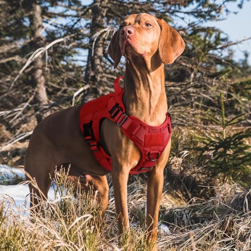rabbitgoo Tactical Dog Harness Medium Sized, Heavy Duty Pet Harness with Handle, No-Pull Service Vest Medium Breed, Adjustable Military Dog Vest for Training Hunting Walking, Red, M - color: Red, size: Medium
