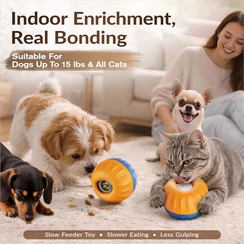 S Size 3-in-1 FrostLick Frozen Treat Ball & Treat Dispensing & Tough Chew Toy, No-Transfer Fill & Freeze Lick Cup, for Puppy Small/Mini/Tiny Dogs and Cats