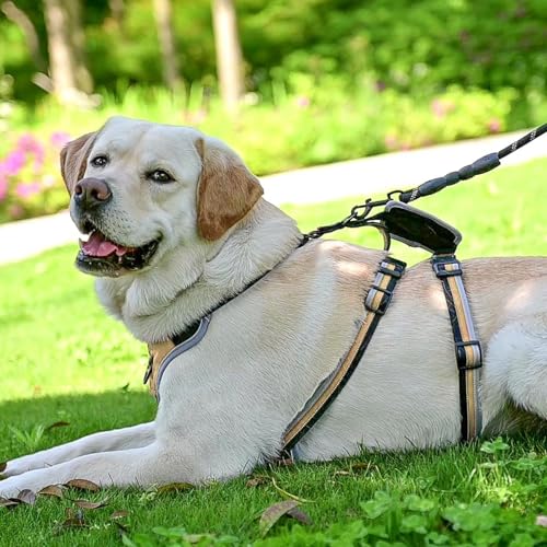 Escape Proof Dog Harness - No Pull Dog Harness with Handle, Soft Padded Reflective and Adjustable Full Body Pet Harness Vest for Medium Large Dogs Walking Hiking Training, Beige X-Large - color: Beige, size: X-Large