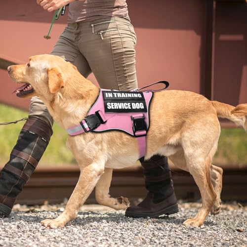 Service Dog Vest Harness and Leash Set+10 Patches,No Pull&Easy Walk Reflective Dog Harness with Soft Padded Handle for Training/Everyday,Fit Small/Medium/Large/Extra-Large Dogs (Pink XL) - color: Pink, size: Extra-large