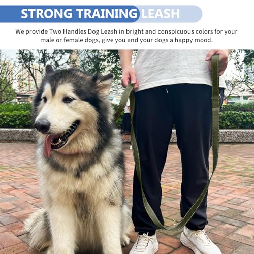 Strong Heavy Duty Dog Leash - 5ft Reflective Nylon Training Leash with Soft Padded Double Handle & Auto Lock Frog Clip - Safety Traffic Control for Large Medium Small Dogs No Pull Walk Army Green,4ft - color: Army Green, size: 4FT x 1" x 2.8MM