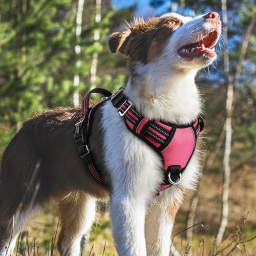 rabbitgoo Dog Harness Medium Sized, No Pull Dog Vest with 3 Buckles, Adjustable Soft Padded Pet Harness with Easy Control Handle and Reflective Strips, Pink, M - color: Pink, size: Medium