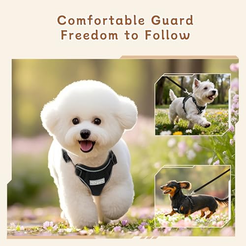 Small Dog Harness and Leash Set, Reflective Soft Breathable Mesh Vest, 3 Buckles, Adjustable Neck and Chest,Step in Dog Harness for Walking, Running, Training, Black, M - color: Black, size: Medium