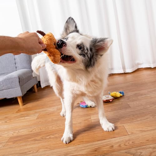 DODODOLA Stuffed Dog Toys Durable Plush Dog Toy with Crinkle Paper Cute Elephant Squeaky Dog Toys Dog Chew Toys for Medium Large Breed (Colorful Sweet) - color: Colorful Sweet