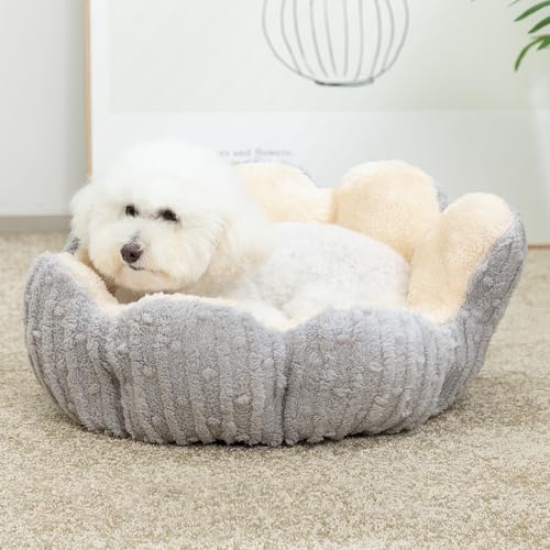 Hollypet Cozy Cat Beds for Indoor Cats - Cute Cactus Pet Bed, Fluffy Puppy Bed, Non-Slip Extra Small Dog Bed, Gray - color: Gray