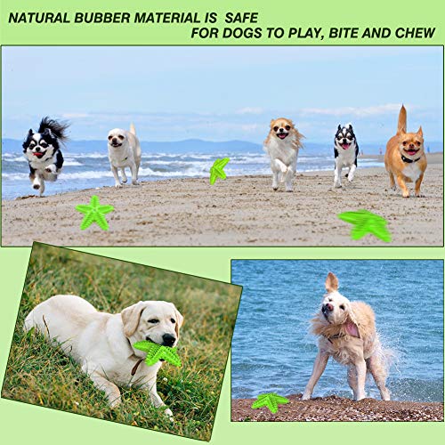Squeaky Dog Toys - Starfish Natural Teeth Cleaning Toy for Small & Medium Dogs (Green) - color: Starfish Green