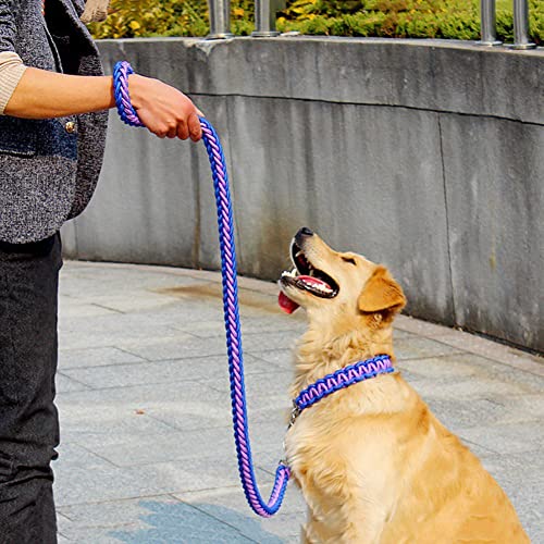 Love Dream Dog Collar and Leash Set, Heavy Duty Nylon Braided Rope Strong 4 FT Dog Leash and Martingale Training Collar for Small Medium Large Dogs Training and Walking (Blue & Purple) - color: Blue & Purple, size: Medium (Thick 1.5cm)
