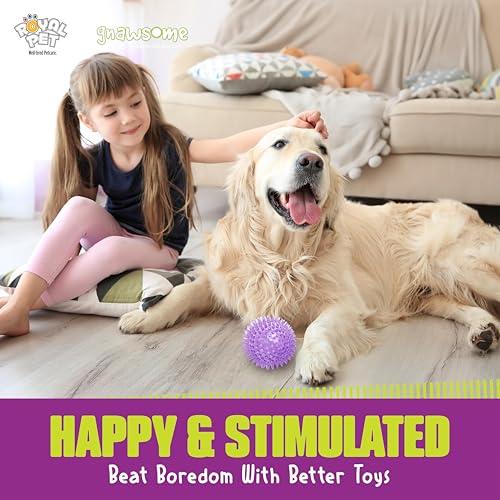 Gnawsome Medium Squeaker Ball Dog Toy, Medium 3.5", Colors Will Vary, All Breed Sizes (Pack of 12) - size: Medium (Pack of 12)