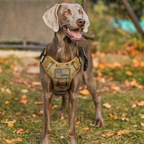 rabbitgoo Tactical Dog Harness Medium Sized, Heavy Duty Pet Harness with Handle, No-Pull Service Vest Medium Breed, Adjustable Military Dog Vest for Training Hunting Walking, Brown Camo, M - color: Brown Camo, size: Medium