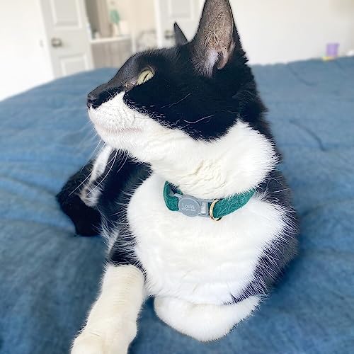 Personalized Breakaway Cat Collar with Engraved Name and Phone Number - Customizable Kitten Collars for Boys and Girls - color: Velvet Breakaway