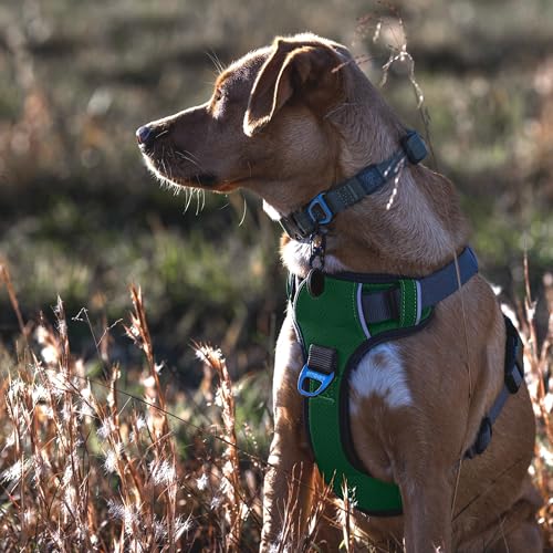 Embark Adventure Small Dog Harness – No-Pull, Reflective Trim, Military-Grade Nylon, Front Clip with Gel-Lined Handle - color: Green, size: S