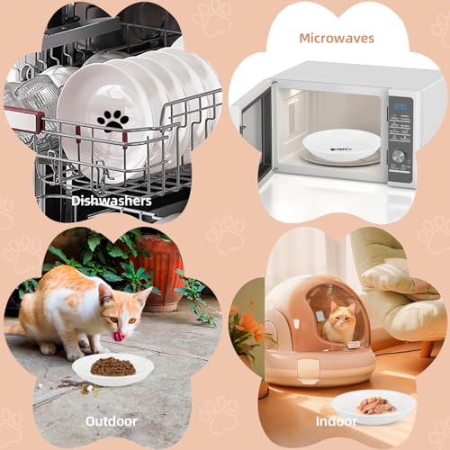 6 Pack Cat Food Bowl, Ceramic Cat Bowls, Anti Whisker Fatigue Cats Bowl Set,5.5 Inches Shallow Wide Kitten Plates for Food and Water (White-E) - color: White-E