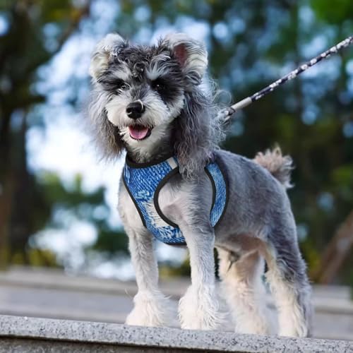 Hole On Denim Jeans. Ripped Destroyed Torn Blue Je Dog Harness and Leash Set, No Pull Reflective Adjustable Soft Mesh Padded Pet Vest with Safety Buckle for Small Medium Dogs and Cats Medium - color: Hole On Denim Jeans. Ripped Destroyed Torn Blue Je, siz
