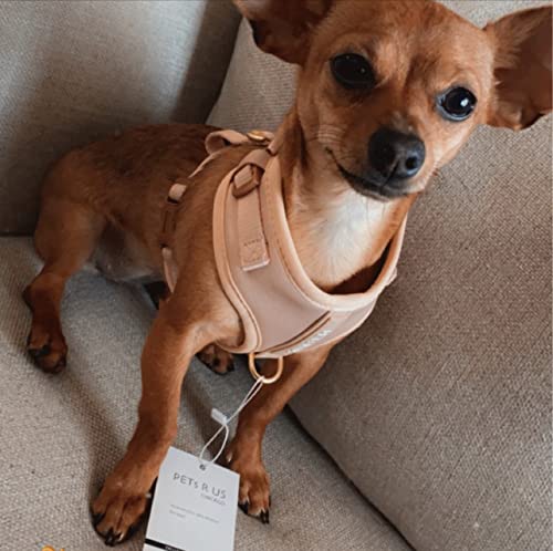 Premium No-Pull Dog Harness Soft Neoprene & Breathable Mesh Vest with Front & Back Clip D-Rings Adjustable Lightweight Walking Harness for Puppies, Small & Medium Dogs (Rose Beige, XS) - color: Rose Beige, size: XS: Neck 10.6-14.2'', Chest 14.2-18.9''