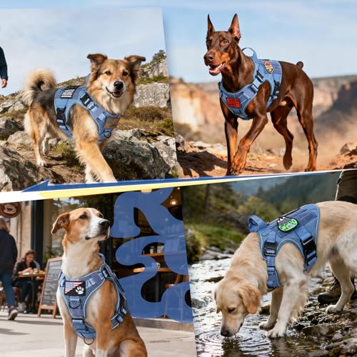 rabbitgoo Tactical Dog Harness Medium Sized, No Pull Upgraded Reflective Heavy Duty Molle Vest with Handle, Adjustable Military Service Dog Vest for Walking Hiking Training, Blue, M - color: Blue Reflective, size: Medium