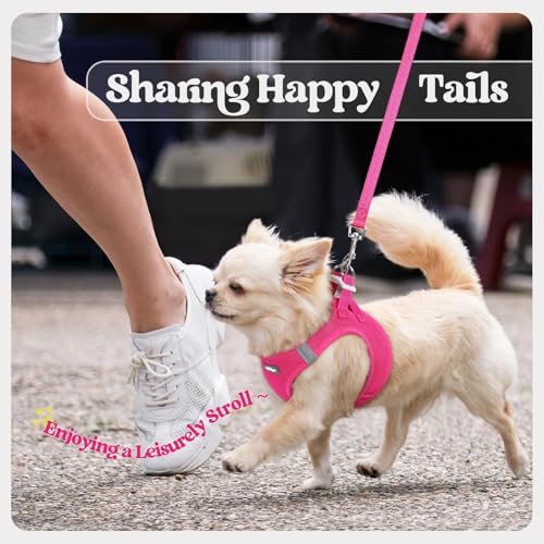 rabbitgoo Dog Harness Small Sized and Leash Set, Step in Soft Light Puppy Vest, Breathable Mesh Pet Harness, Reflective for Safe Easy Walking, Rose Red S - color: Rose Red, size: S (chest: 15.1 - 16.5")