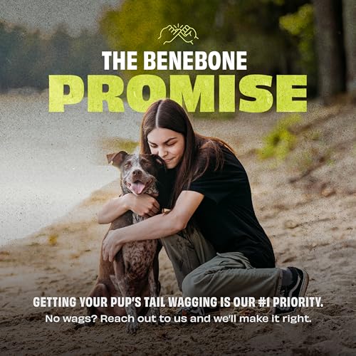 Benebone Rubber Ball, 4-Pack - size: 4 Pack, style: Ball