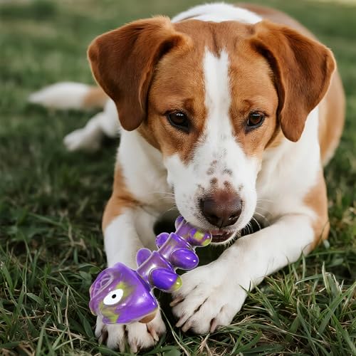 Dog Chew Toys for Aggressive Chewers:2 Pack Indestructible Dog Toy for Large, Medium Breed to Keep Them Busy Bacon and Beef Flavor - color: Beef Bone & Bacon—2PC
