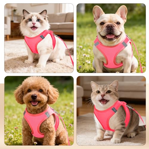 Pet Harness No Pull for Dogs and Cats, Breathable Mesh Vest with Hook & Loop Fastener, Snap Buckle and Double D-Rings, 0.55FIT Secure Fit, Pink, XS - color: Pink, size: XS