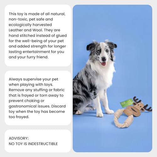 Cotton Rope Ring Dog Chew Toy for Small Dogs & Puppies - Durable Leather Dog Toy for Light Chewers - Natural & Perfect Puppy Toy for Chewing Exercise & Dental Health (Moose) - style: Cotton Rope Ring - Moose