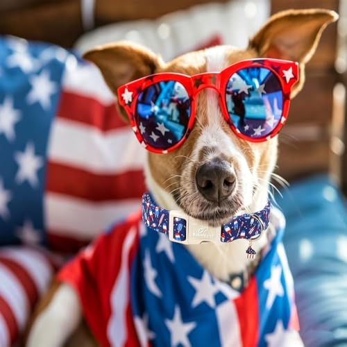 4th of July Dog Collar Patriotic Popsicle Dog Collars for Puppy Small Dogs - Lightweight Adjustable Navy Independence Day Puppy Collars Cute Summer Pet Safety Collar XS - color: Patriotic Popsicle, size: XS
