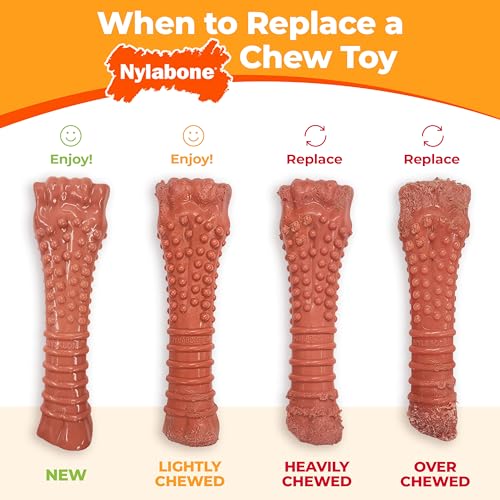 Nylabone Engaging Power Chase 'N Chew Toy for Dogs, Rolling & Spinning Interactive Dog Toys for Aggressive Chewers, Purple, Bacon Flavor, Large - Up to 50 lbs, 1 Count