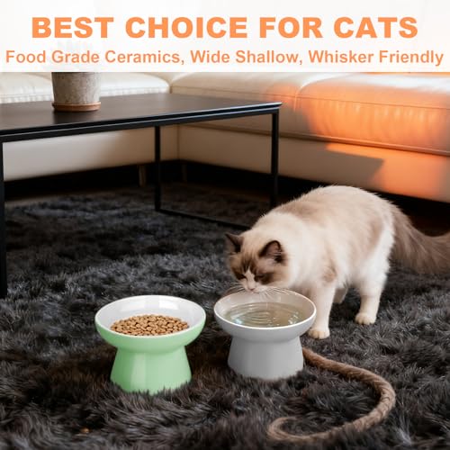 Elevated Cat Bowls,2 Pcs Ceramic Raised Cat Food Bowls with Non-Slip Base,Whisker-Friendly Shallow Design,Lead & Cadmium Free Pet Feeder,Dishwasher and Microwave Safe (Green&Light-Grey) - color: Green&Light-Gray