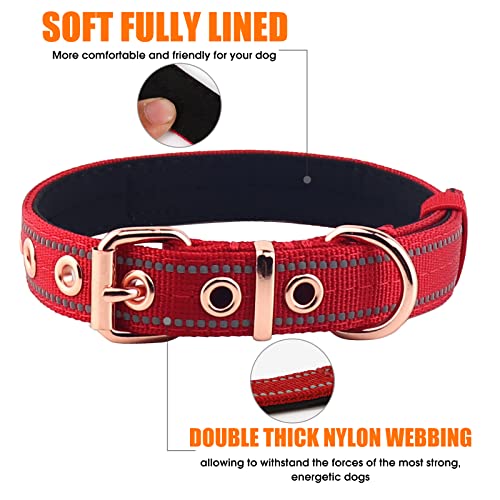 Neoprene Padded Dog Collar, Nylon Collar for Small to Large Dogs, Heavy Duty with Metal Buckle, Reflective(Large, Red) - color: Red, size: Large (Pack of 1)