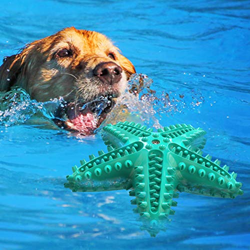 LiuMelinda Dog Chew Toys for Aggressive-Chewers - Indestructible Dog Toy for Aggressive Chewer,Tough Chew Toys for Dogs (Rubber Blue-Starfish) - color: 05-Blue-Starfish
