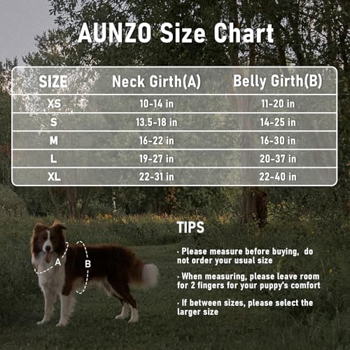 AUNZO Dog Vest Harness with 2 Patches, No Pull Dog Harness for Walking Training Hiking, Metal D-Rings Easy on/Off Neck Buckle Reflective Strips Soft Padded Handle, Purple - color: Purple Ethnic, size: Medium