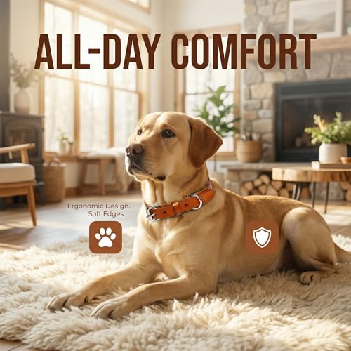 XanYu Premium Genuine Leather Dog Collar – Adjustable Heavy Duty Pet Collar with Sturdy Metal Buckle, Soft & Classic for Puppy and Small, Medium, Large Dogs (Tan)