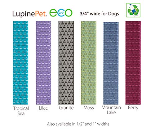 LupinePet Eco 3/4" Mountain Lake 6-Foot Padded Handle Leash for Medium and Larger Dogs - size: 3/4 inch wide; 6-foot