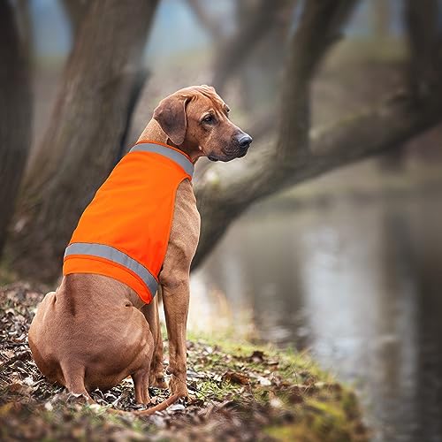2 Pieces Orange Reflective Hunting Dog Vest, High Visibility Bright Dogs Safety Vest, Soft Adjustable Reflective Jacket for Outdoor Walking Hunting, Keep Dog in Sight and Safe (Blaze Orange) - size: M