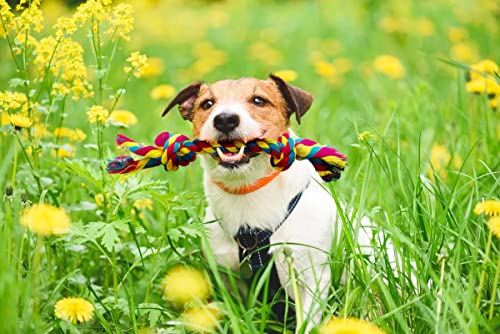 Knotted Rope Chew Toy for Small Dogs - Medium Size 8" - size: Medium