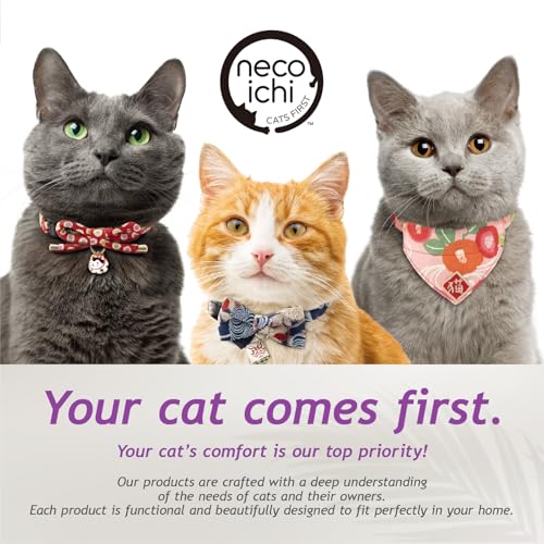 Necoichi Hideaway Cat Scratcher Box — Extra Large | Horizontal Scratch Pad + Lounger + Hideaway for Indoor Cats | 100% Recycled Cardboard, Chemical-Free - color: Dark Cherry