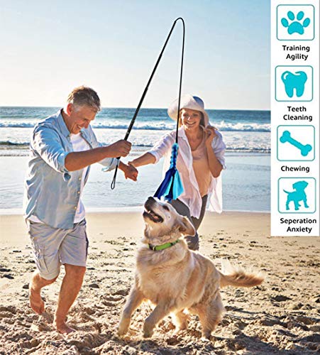 Flirt Pole for Dogs - Extendable Flirt Pole with 2pcs Fleece Lure Tugs for Dog Outdoor Entertainment, Train and Exercise, New Coffee - color: new coffee