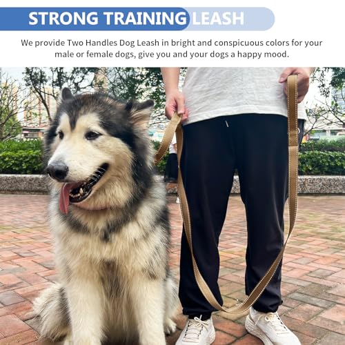 Strong Heavy Duty Dog Leash - 5ft Reflective Nylon Training Leash with Soft Padded Double Handle & Auto Lock Frog Clip - Safety Traffic Control for Large Medium Small Dogs No Pull Walk Khaki,5ft - color: Khaki, size: 5FT x 1" x 2.8MM