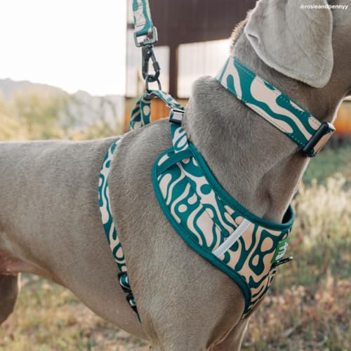 Lucy & Co. x Parks Project Geyser No-Pull Dog Harness, Adjustable Front Clip Harness with Comfort Padding, Small - color: Geyser, size: Small