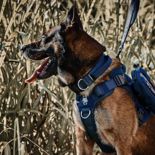 OneTigris Tough Dog Collars, Tactical Dog Collar with Handle, Milltary Adjustable Dog Collar with Heavy Duty Metal Buckle for Training (Blue, S) - color: Blue, size: S