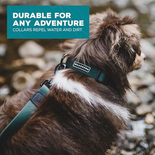 Wilderdog Waterproof Dog Collar - Repels Water & Dirt - Medium 13"-18" - Cedar - color: Cedar, size: Medium