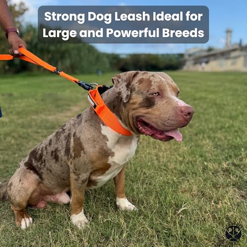 BULLYBREED | Heavy Duty Dog Leash, Tactical Dog Leash, Quick Release Frog Clip with Anti-Tangling Swivel System for Large Dogs that Pull with Soft Double Handles (5 FT Long, Orange) - color: Orange Double Handle
