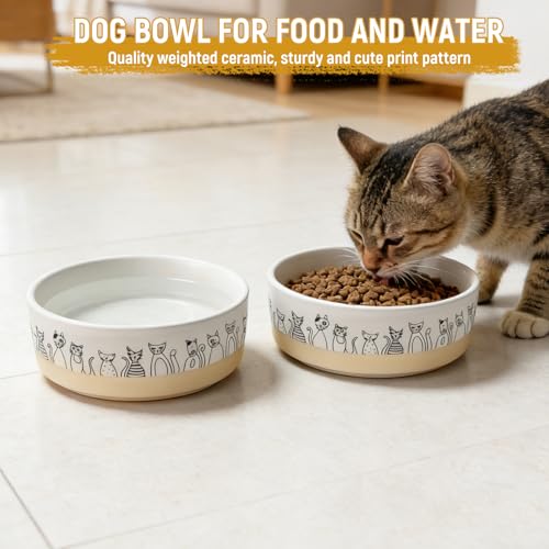 Elevated Ceramic Cat Bowls with Wooden Stand,6.1inch Raised Cat Bowls with Cute Pattern for Small and Medium Breed Dogs,2 Pack Cats Food and Water Bowl Set,Weighted Pet Dishes Dishwasher Safe - size: 2 pack bowl with stand
