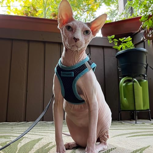 Best Pet Supplies - All Weather Mesh / Plush, Reflective, No Pull Harness for Small, Medium Dogs, Cats - Secure with Hook & Loop Fastener, Buckle, Double D-Rings - Army/Black Trim, L