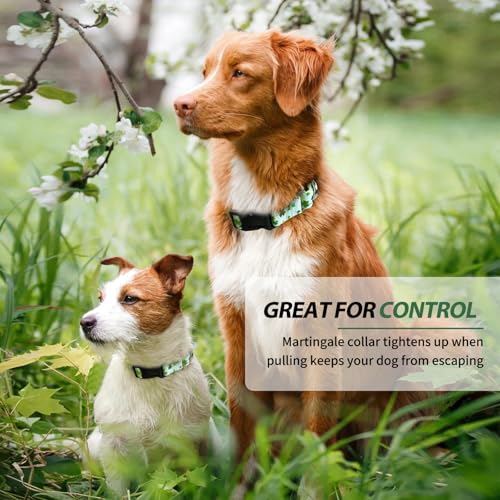 Hikiko St Patrick's Day Martingale Collar for Dogs with Quick Release Buckle Nylon Adjustable Dog Collars Pet Gift Walking Training(Clovers,Medium) - color: Clover, size: Medium
